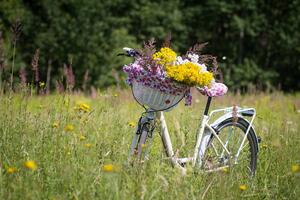 Blumengeschmücktes Fahrrad auf einer Wiese