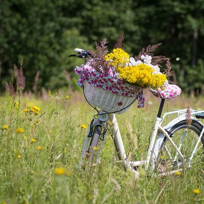 Blumengeschmücktes Fahrrad auf einer Wiese