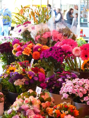Wochenmarkt Bunte Blumen