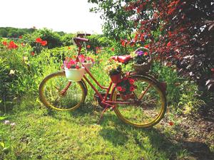 Geschmücktes Fahrrad in einer Gartenanlage