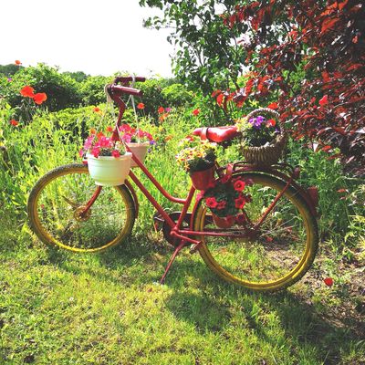Geschmücktes Fahrrad in einer Gartenanlage