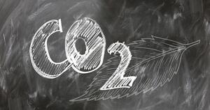 Bild CO2