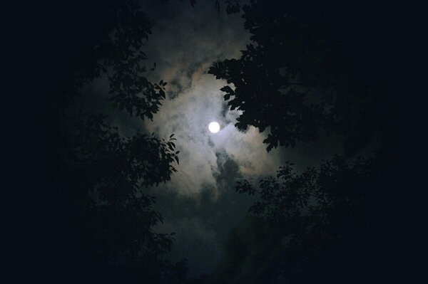 beatzjoody-moon-1180345_1920