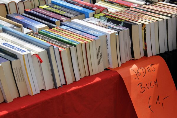 instagramfotografin-books-2485842_1920