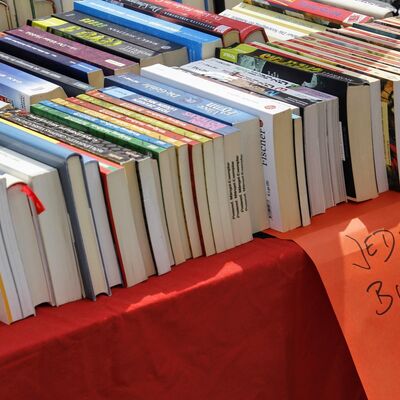 instagramfotografin-books-2485842_1920