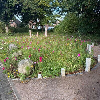 Blumen 3